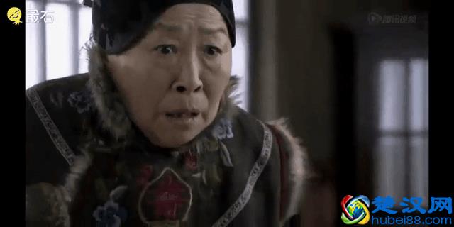 养仓第3步：仓鼠饮食大全，再也不怕养不活了