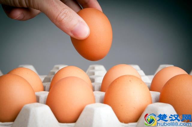 补铁、预防贫血，这5种“高铁”食物别错过！