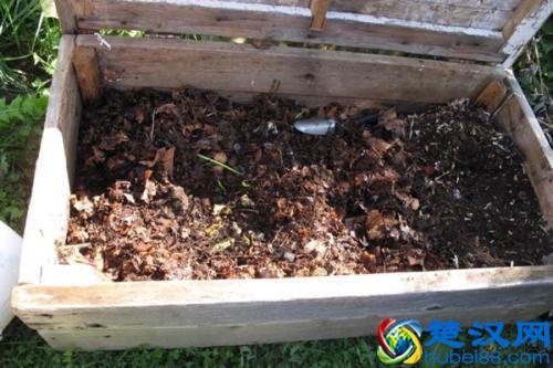 鸡蛋壳做花肥、驱虫等等，原来鸡蛋壳还有这么多用处