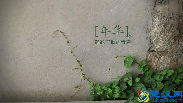 时光荏苒，蹉跎了谁的年华