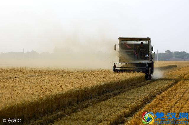 现代农业的基本特征及发展趋势