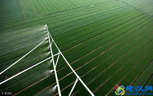 现代农业的基本特征及发展趋势