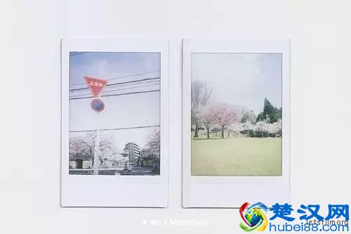 怎么用拍立得拍出高质量的照片？掌握这5点就够了