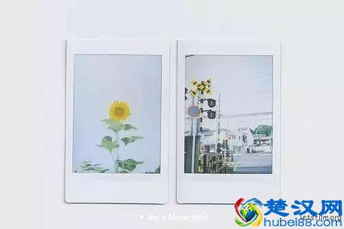 怎么用拍立得拍出高质量的照片？掌握这5点就够了