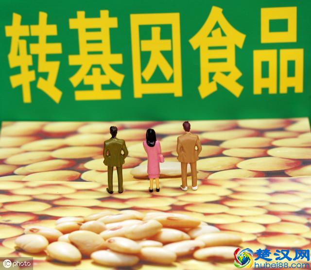 转基因食品为什么可以抗癌？ 有哪些抗癌的转基因食品？