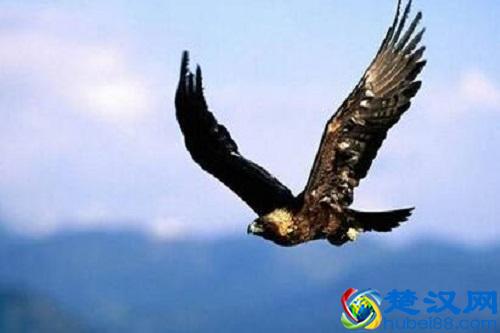 合伙创业需要注意什么？这10个问题必须明确