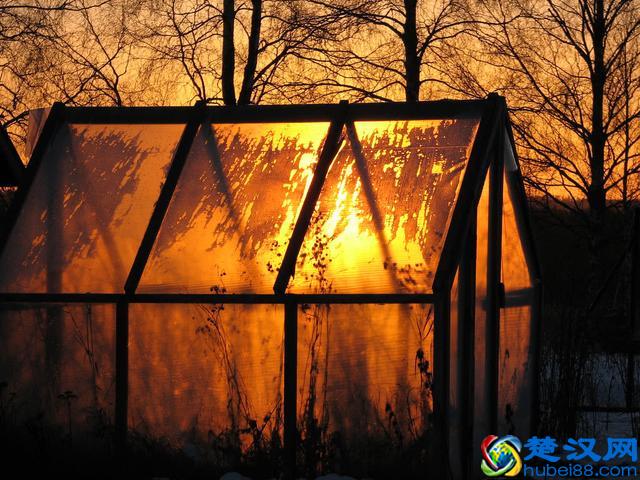 温室效应，地球会变成什么样？