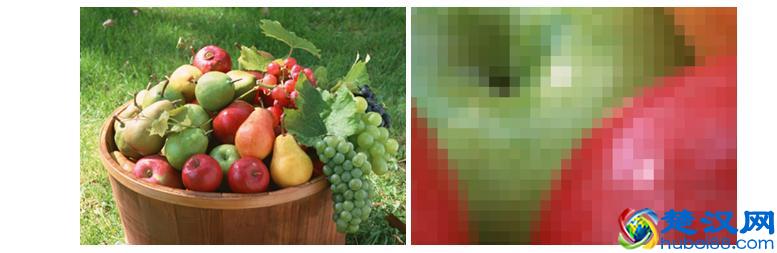 什么是位图？什么是矢量图？