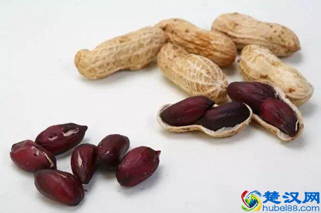 如何辨别转基因和非转基因？一招教会你！