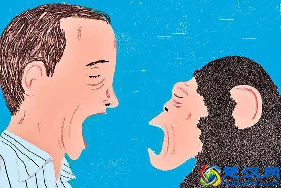 「脑洞科普」为什么打哈欠会传染？科学家找到了答案