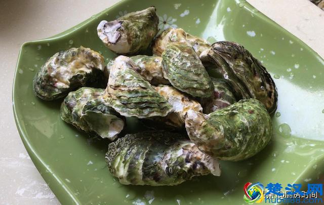 生蚝买回来该怎么吃？小哥手把手来教你“开生蚝”和“吃生蚝”