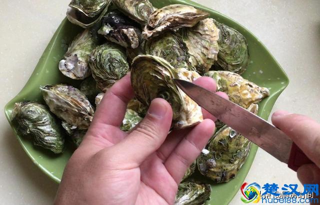 生蚝买回来该怎么吃？小哥手把手来教你“开生蚝”和“吃生蚝”