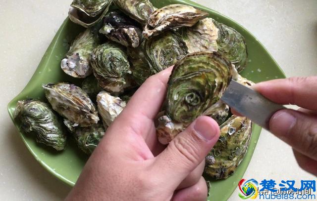 生蚝买回来该怎么吃？小哥手把手来教你“开生蚝”和“吃生蚝”