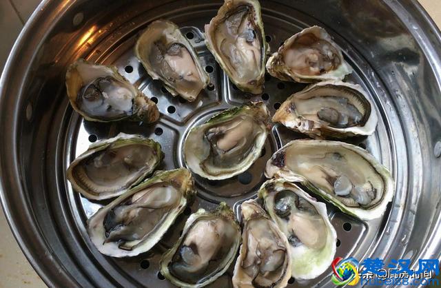 生蚝买回来该怎么吃？小哥手把手来教你“开生蚝”和“吃生蚝”