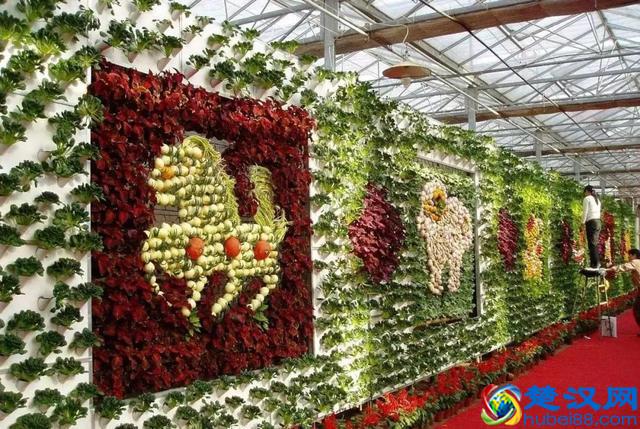 令人震撼的现代农业