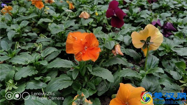 比小米更具性价比——联想手机Z5s深度评测