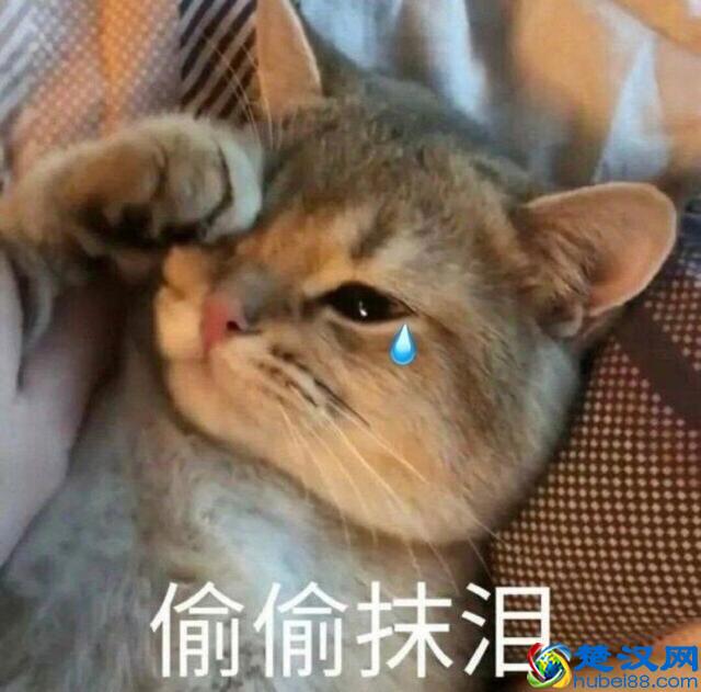 越来越火的社群运营，值得去做吗？