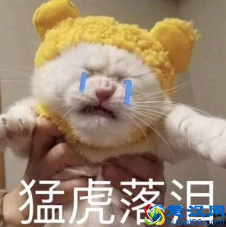 越来越火的社群运营，值得去做吗？