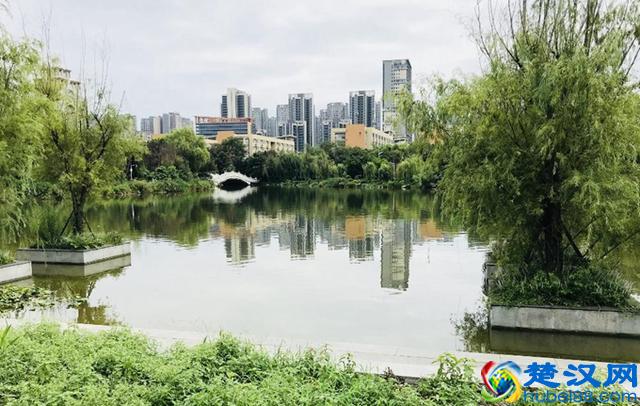 西南财经大学是一所什么档次的大学？有哪些王牌学科？