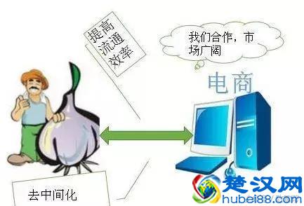 回乡创业的新选择，产地“一件代发”全年皆可致富