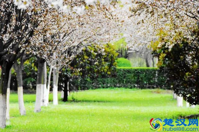 为什么选择西安外国语大学？这8个理由一定吸引你