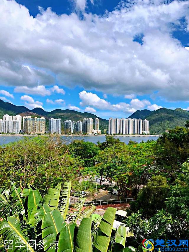 学姐分享：在香港中文大学 (CUHK) 就读是怎样一番体验？