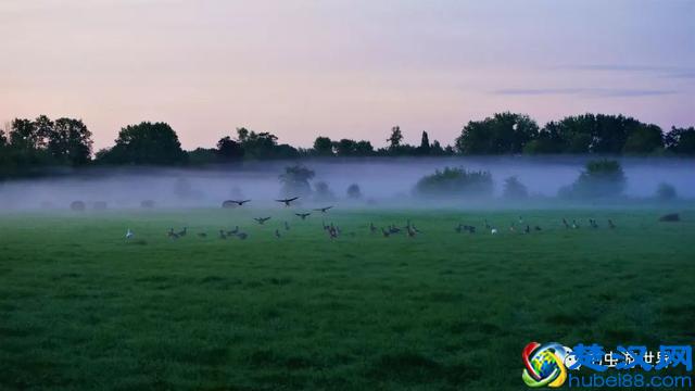 牛津大学是我见过的最美的校园，咱们一起在清晨走走吧