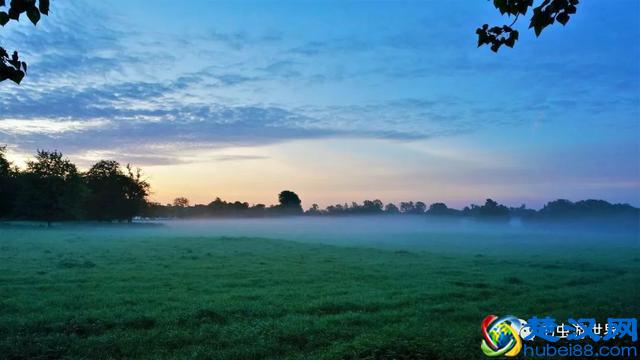 牛津大学是我见过的最美的校园，咱们一起在清晨走走吧