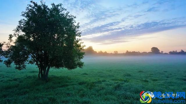 牛津大学是我见过的最美的校园，咱们一起在清晨走走吧