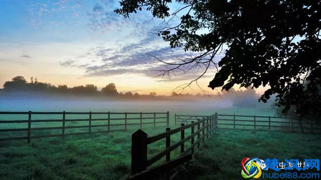牛津大学是我见过的最美的校园，咱们一起在清晨走走吧