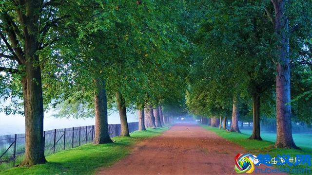 牛津大学是我见过的最美的校园，咱们一起在清晨走走吧