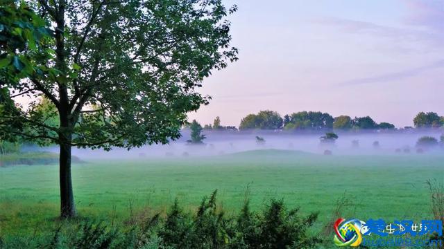 牛津大学是我见过的最美的校园，咱们一起在清晨走走吧