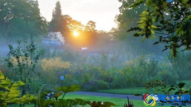 牛津大学是我见过的最美的校园，咱们一起在清晨走走吧