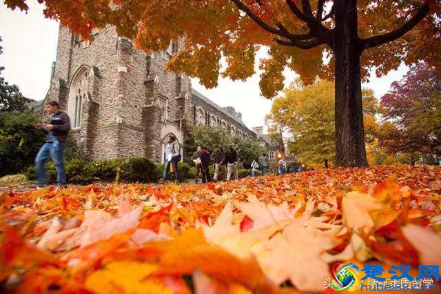 美国南方最顶尖的高校——杜克大学