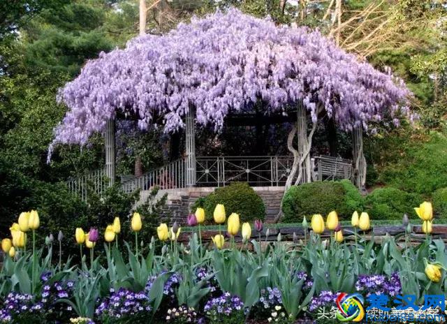 美国南方最顶尖的高校——杜克大学