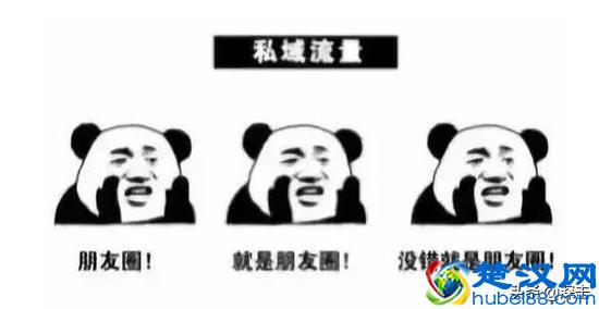 私域流量蹿红背后，隐藏着微信里的生意