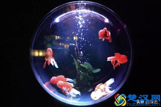 私域流量蹿红背后，隐藏着微信里的生意