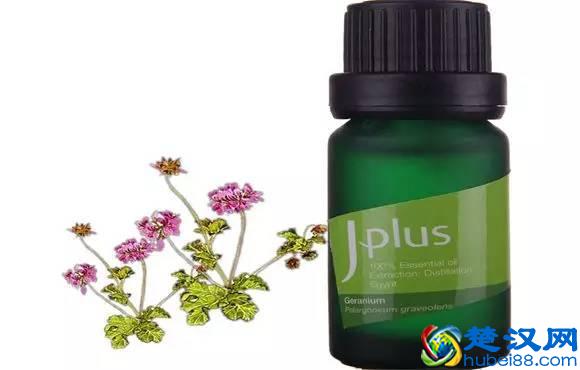 用精油减肥没效果?四种减肥精油的使用方法送给你!