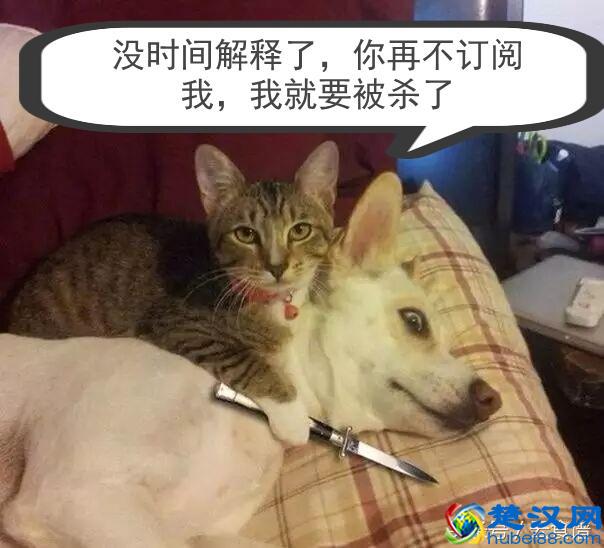 沈阳流行食 太子锅 配料和制作方法