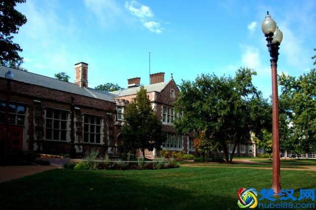 圣路易斯华盛顿大学热门专业介绍