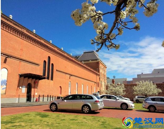 阿德莱德大学，一所不错的大学