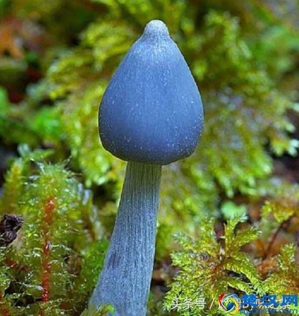 你身边的24小时营业的店铺有哪些？