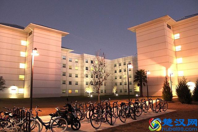 佛罗里达大学好不好？那这些信息你必须来了解了解！