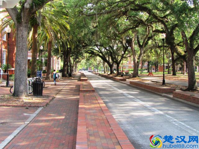 佛罗里达大学好不好？那这些信息你必须来了解了解！