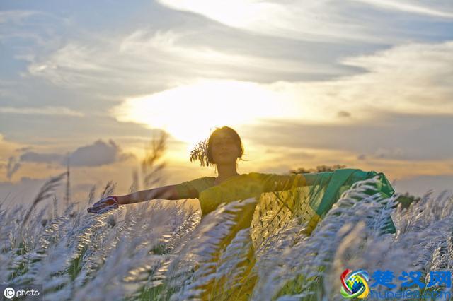 互联网运营快速成长的底层逻辑，我亲自实践出的“三段论”