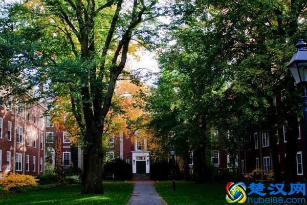 哈佛大学入学条件是什么？