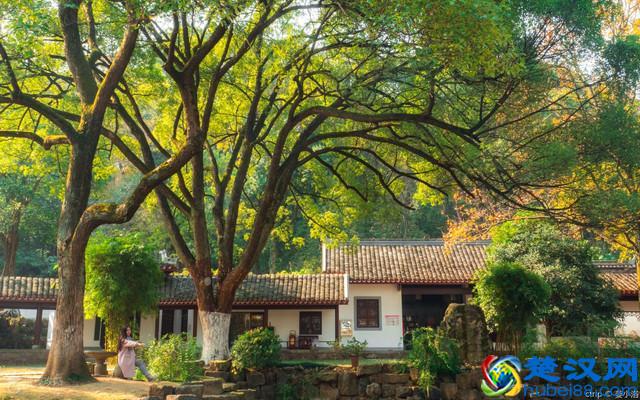 长沙十大必玩景点