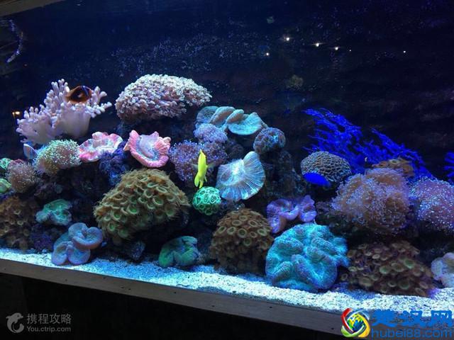 长沙十大必玩景点