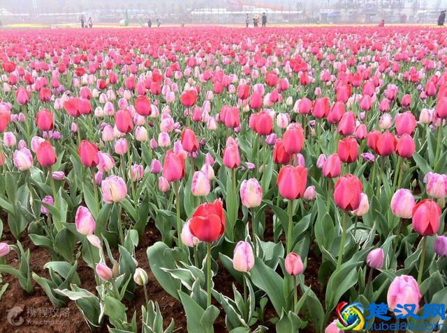 长沙十大必玩景点