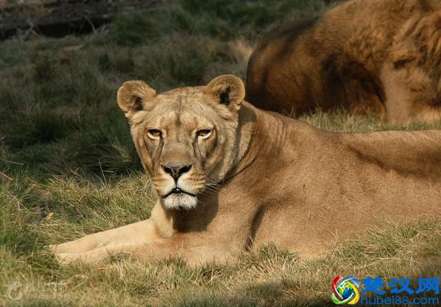 长沙十大必玩景点
